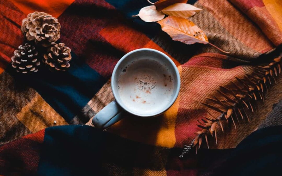 Immobilier Novembre 2025 : les Meilleures Actualités